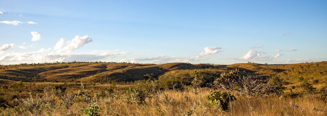 Cerrado