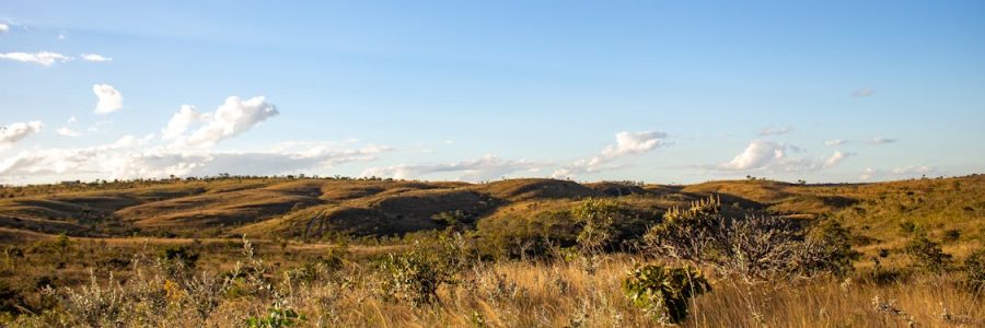 Cerrado