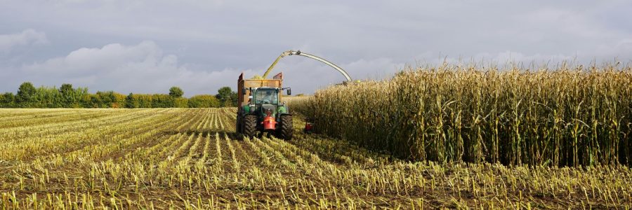 Colheitadeira de milho